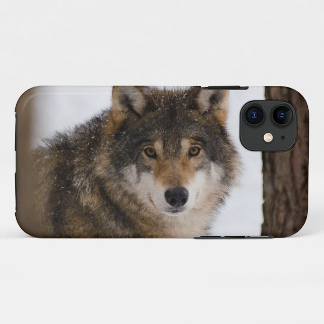 European Grey Wolf Case-Mate iPhone Hülle (Rückseite (Horizontal))
