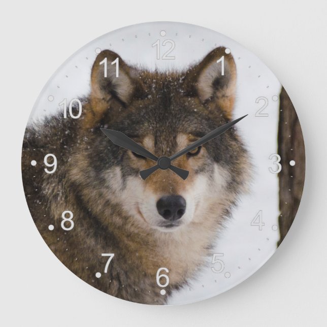 European Grey Wolf Große Wanduhr (Vorderseite)
