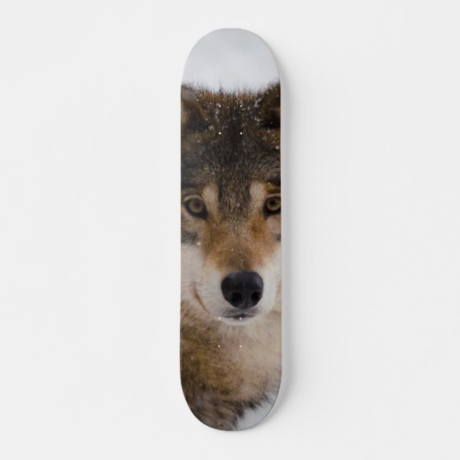 European Grey Wolf Skateboard (Vorne)