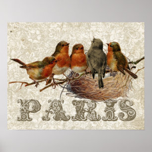 European Robin Birds Nest Paris Decoupage Vintag Poster