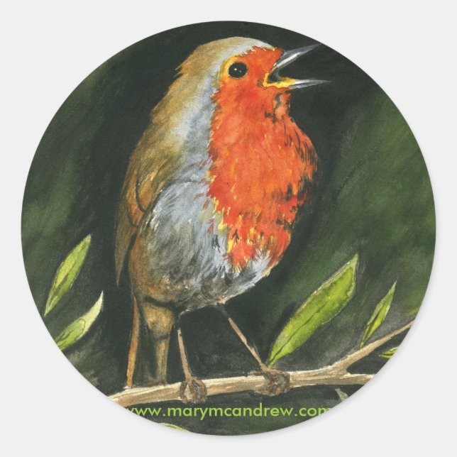 European Robin - England Bird Stickers (Vorderseite)