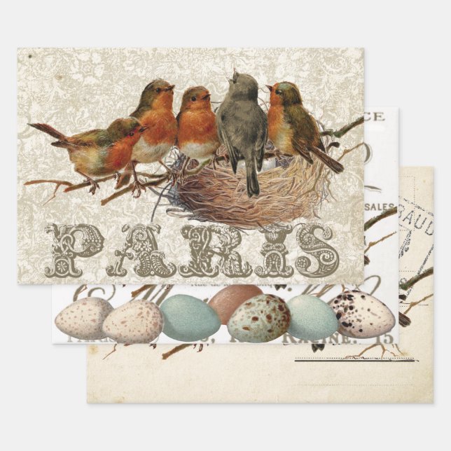 European Robin French Script Nest Egg Postmark Set Geschenkpapier Set (Set)