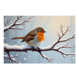European Robin  Poster