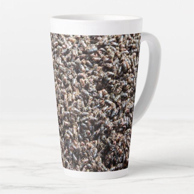 European spruce bark beetle milchtasse (Rechte Ecke)