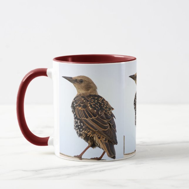 European Starling Bird Mug Tasse (Links)