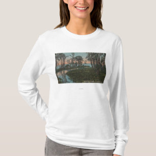 Eustis, Florida - Ansicht des Swampy Kanals T-Shirt