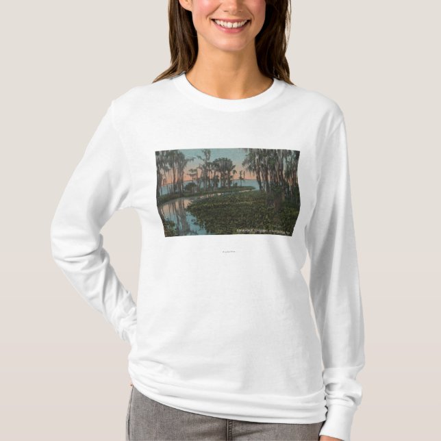 Eustis, Florida - Ansicht des Swampy Kanals T-Shirt (Vorderseite)