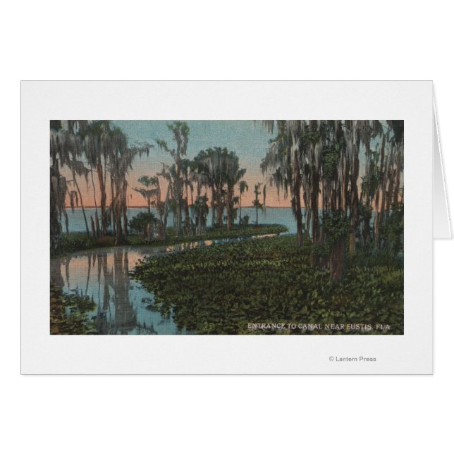 Eustis, Florida - Blick auf den Swampy-Kanal (Vorderseite (Horizontal))