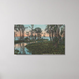 Eustis, Florida - Blick auf den Swampy-Kanal Leinwanddruck