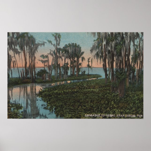 Eustis, Florida - Blick auf den Swampy-Kanal Poster (Vorne)