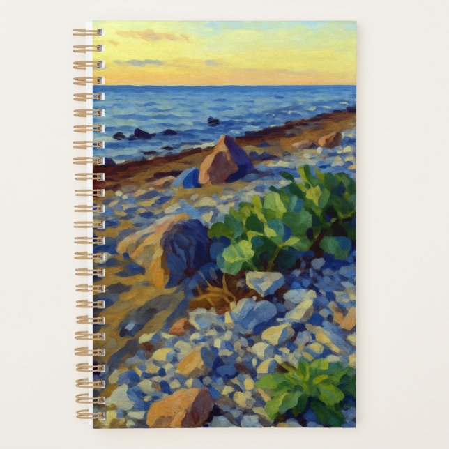 Evening light on the coast of Vormsi Planer (Vorderseite)