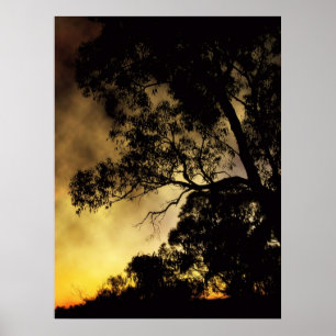 Eveningscapes Poster