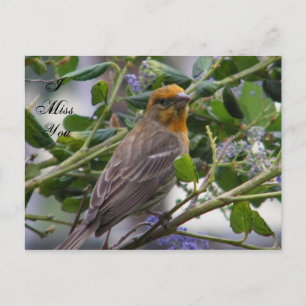 Eventuelle Ereignisse_ Postkarte