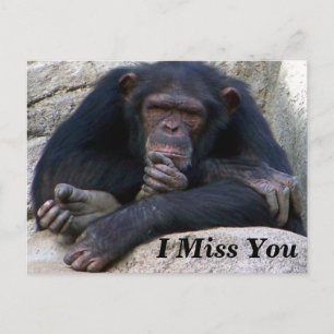 Eventuelle Ereignisse_ Postkarte