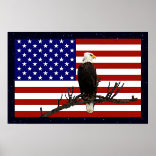 Ever Vigilant Bald Eagle Poster
