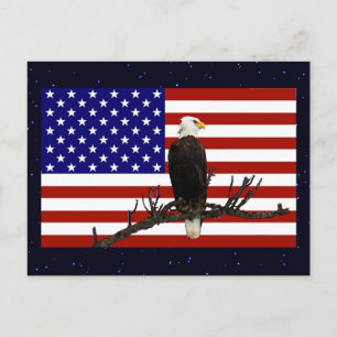 Ever Vigilant Bald Eagle Postkarte