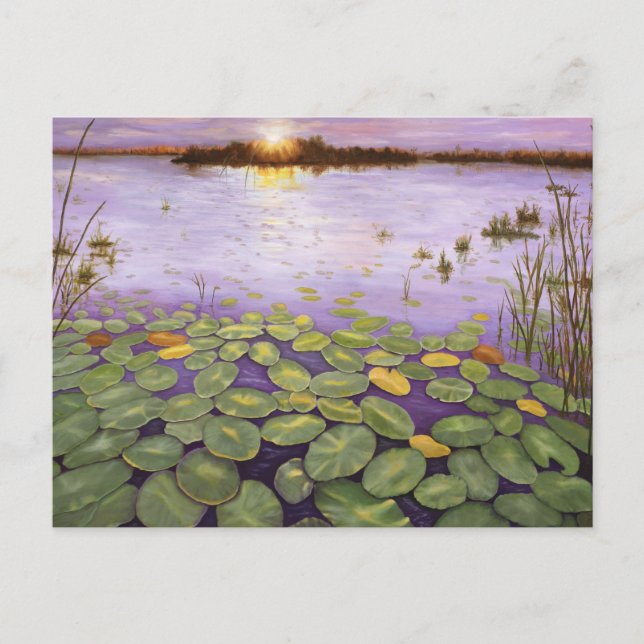 Everglades Abend Postkarte (Vorderseite)