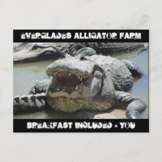 Everglades Alligator Farm - Frühstück inklusive -  Postkarte