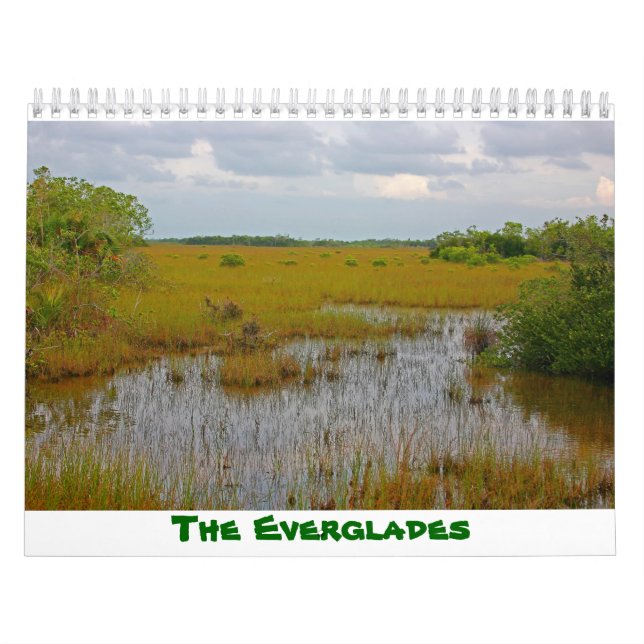 Everglades Calendar Kalender (Titelbild)