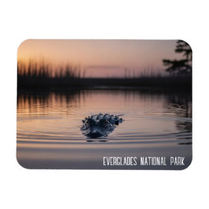 Everglades Florida Alligator Reise Magnet