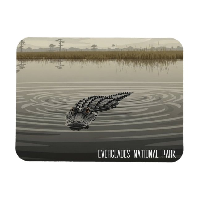 Everglades Florida Alligator Reise Magnet (Horizontal)