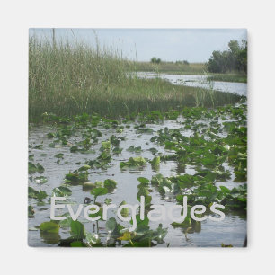 Everglades Magnet