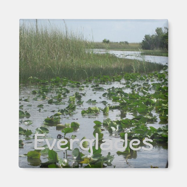 Everglades Magnet (Vorne)