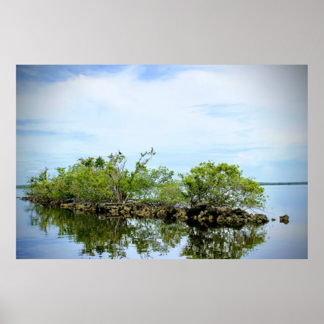 Everglades Mangroves Poster (Vorne)