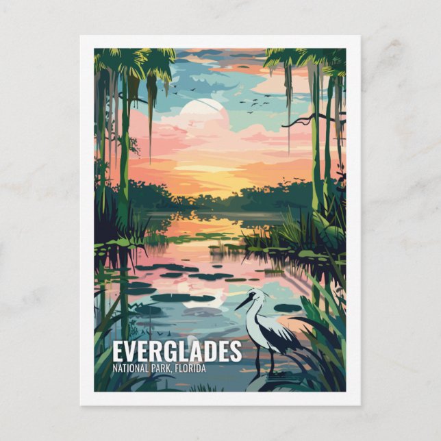 Everglades National Park Florida USA Postkarte (Vorderseite)