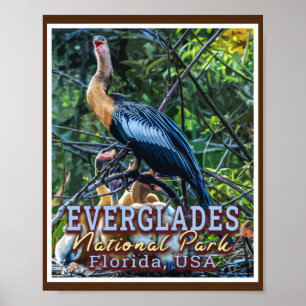 EVERGLADES NATIONAL PARK - FLORIDA VEREINIGTE STAA POSTER