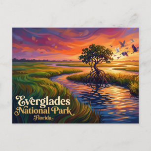 Everglades National Park USA Postkarte