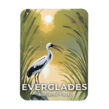 Everglades National Park | Wasserfarben-Storch