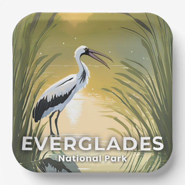 Everglades National Park | Watercolor Stork Pappteller (Vorderseite)