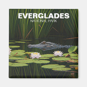 Everglades Nationalpark Alligator im Wasser Magnet