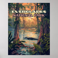 Everglades Nationalpark Alligator Sumpf Florida