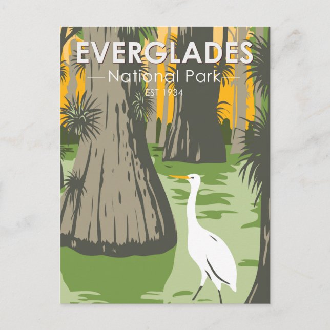 Everglades Nationalpark Florida Egret Vintag Postkarte (Vorderseite)