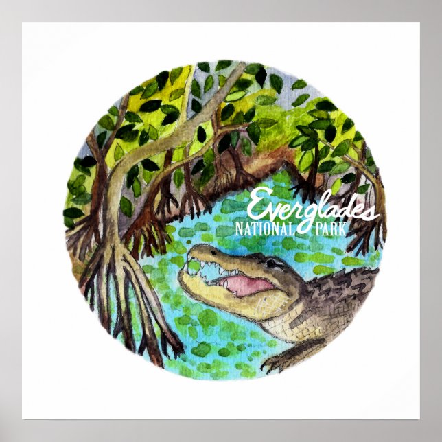 Everglades Nationalpark Florida Poster (Vorne)