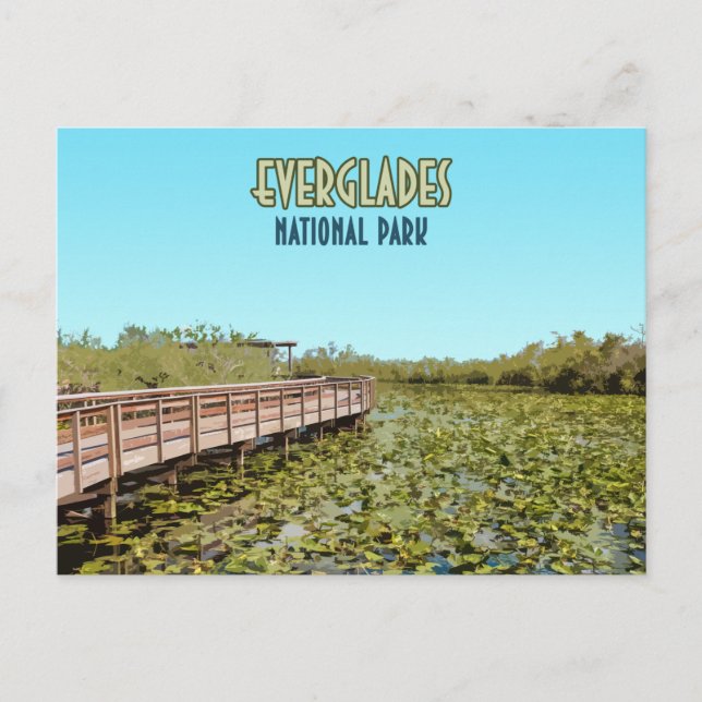 Everglades Nationalpark Florida Postkarte (Vorderseite)