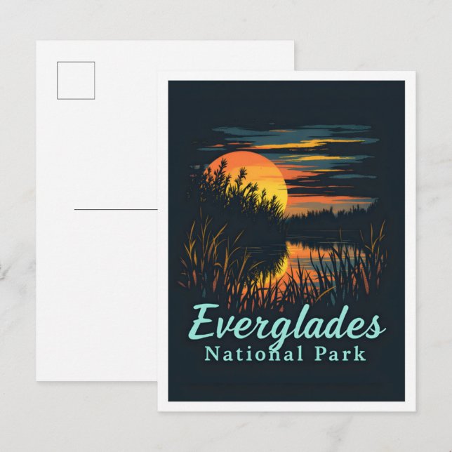 Everglades Nationalpark Florida Postkarte (Vorne/Hinten)