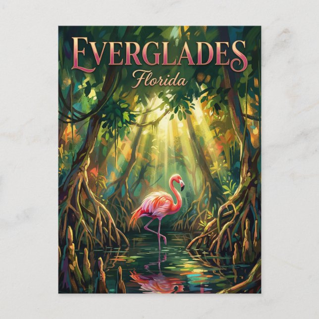 Everglades-Nationalpark Florida Postkarte (Vorderseite)