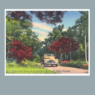 Everglades Nationalpark Florida Vintage-Foto Poster