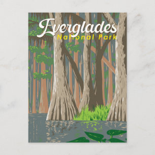 Everglades Nationalpark Illustration Postkarte