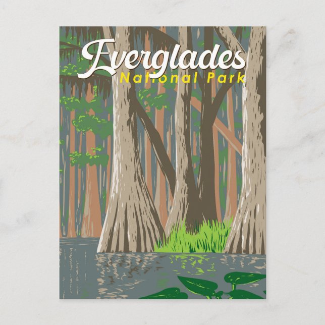 Everglades Nationalpark Illustration Postkarte (Vorderseite)