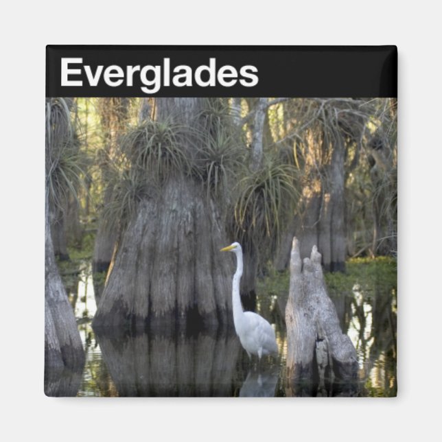 Everglades-Nationalpark Magnet (Vorne)