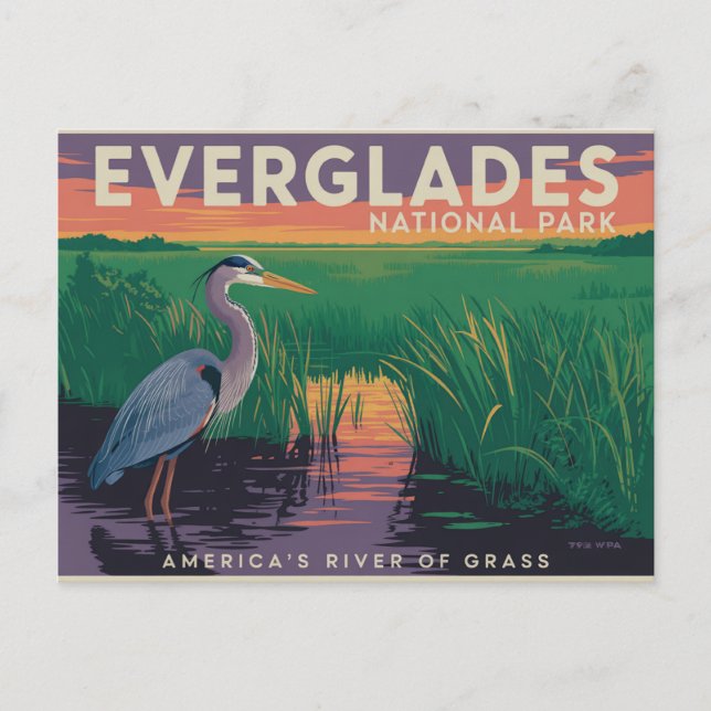Everglades-Nationalpark Postkarte (Vorderseite)
