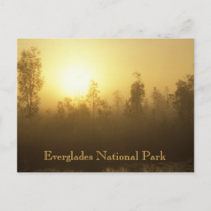 Everglades-Nationalpark Postkarte