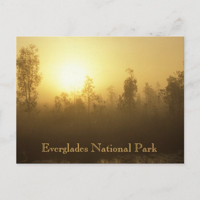 Everglades-Nationalpark Postkarte (Vorderseite)