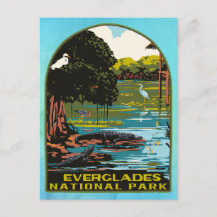 Everglades-Nationalpark Postkarte