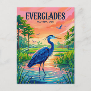 Everglades Nationalpark USA Postkarte
