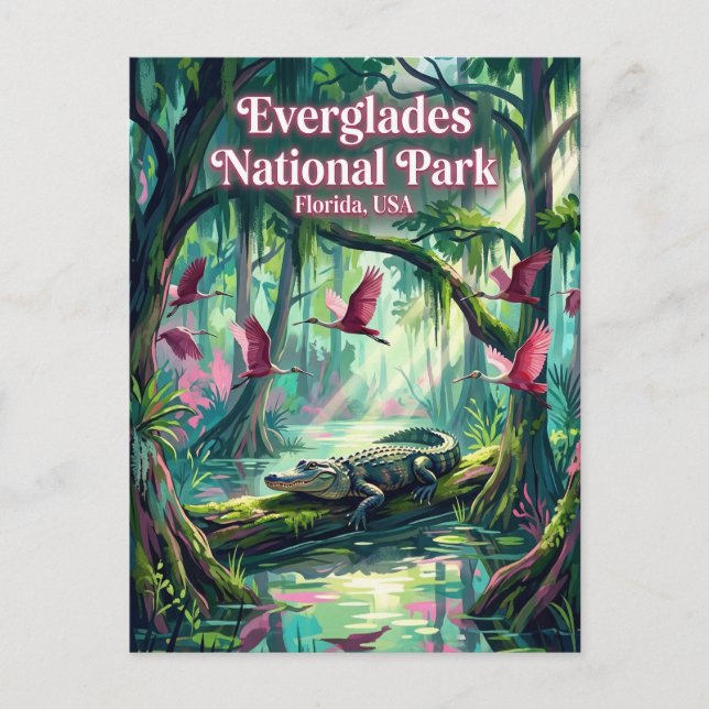 Everglades Nationalpark USA Postkarte (Vorderseite)